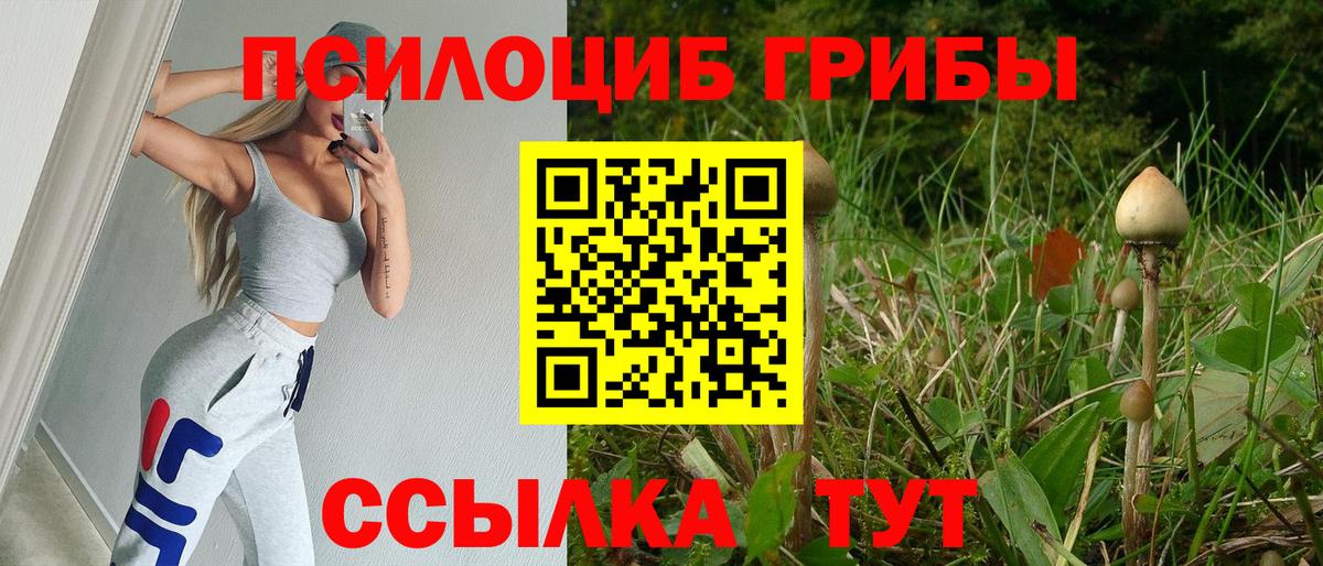 Псилоцибиновые грибы мицелий  Вход с VPN  Шатура  Галлюциногенные грибы прущие грибы 